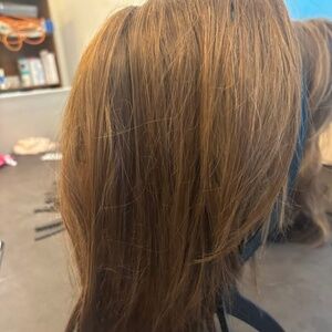 Paula Young Avery Wig